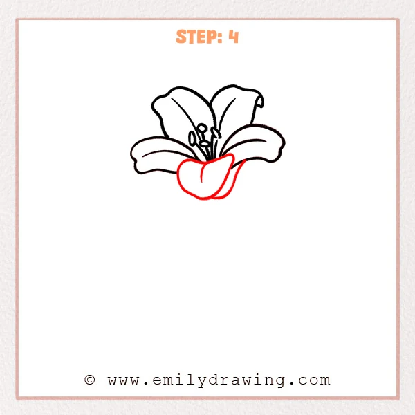 how to draw a lily flower - Step 4